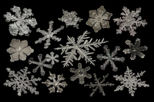 Extreme Magnification - Real Snowflake On Black Background, Close Up