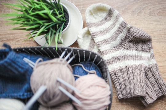 Striped beige-white knitted socks and a green plant in the pot. Wooden background. Knitting hobby