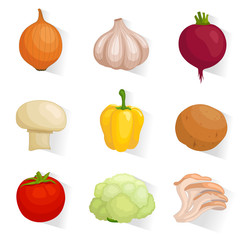 Set of web icons of vegetables. Collection of elements for web design. Vector illustration.