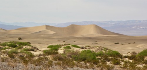 Death Valley