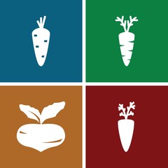 Set of 4 root filled icons