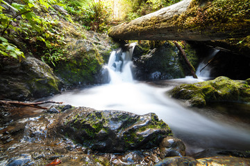 Olympic National Park, Washington