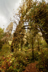 Olympic National Park, Washington