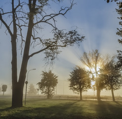 Morning in public park of Jurmala famous resort city in Latvia, Europe