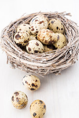 Obraz premium Quail eggs of birds nest. Easter composition.