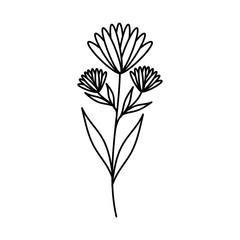 Fototapeta na wymiar cute flower carden isolated icon vector illustration design