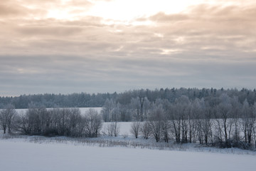 photo of winter landscape with hills and trees on the background of blue sky