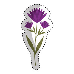 cute flower carden isolated icon vector illustration design