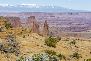 Colors of the Desert.