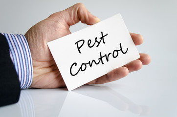 Pest control text concept