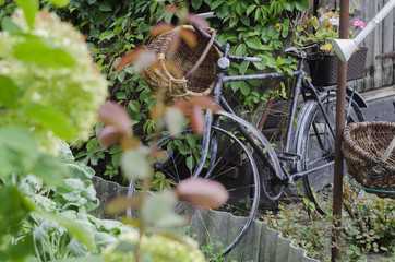 Vintage garden bicycle