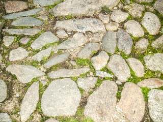 Texture of a pavement floor with moss