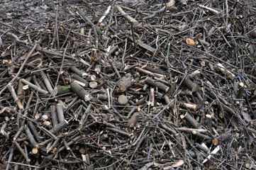 The crushed cut branches of trees and shrubs used as a cost cheaper fuel for boilers