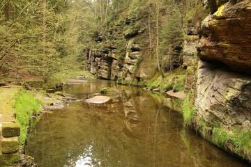 View of nature in Bohemian Switzerland, Jetrichovice- Czech Republic