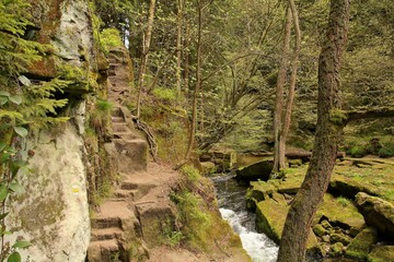 View of nature in Bohemian Switzerland, Jetrichovice- Czech Republic