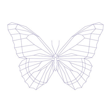 Geometric linear butterfly. Vector illustration