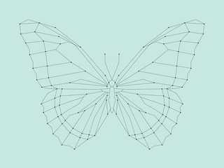 Geometric linear butterfly. Vector illustration