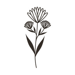 cute flower carden isolated icon vector illustration design