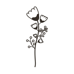 cute flower carden isolated icon vector illustration design