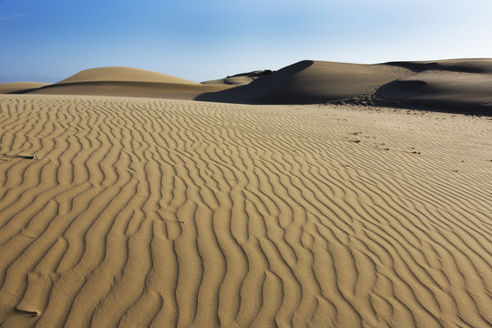 Oceano Dunes Natural Preserve, California