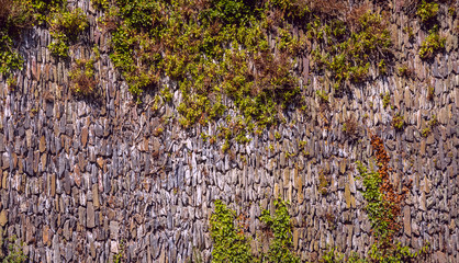 The texture of the old wall, overgrown plants. Masonry out of the narrow stones.
