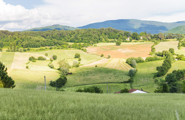 Beautiful landscape and hills in Tuscany, Italy