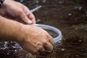 Hands Dipping Basket in Water for Testing