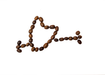 coffee bean with white background
