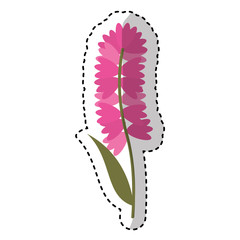 cute flower carden isolated icon vector illustration design