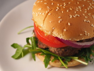 Hamburger with onion, tomato and lettuce. American fast food.