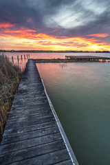 Fototapeta premium Neusiedlersee Sonnenaufgang mit Steg