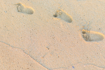 Footprints of baby on the sand