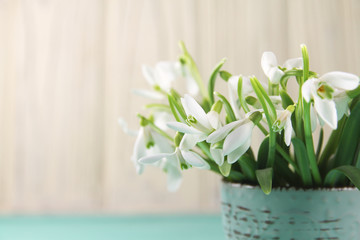 Spring bouquet of snowdrops on a wooden background