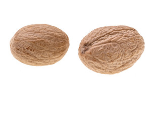 Nutmeg isolated isolated on white background