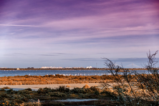 Parque Natural Bahia de Cadiz