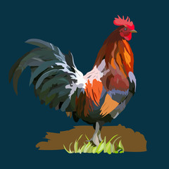 Chinese calendar Zodiac for 2017 New Year of red rooster.