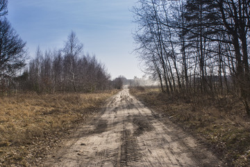 polna droga prowadząca do wsi Dalików © winiar