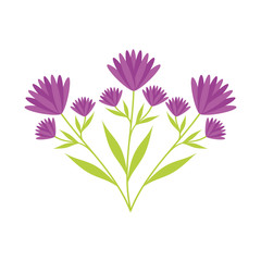 Obraz premium cute flower carden isolated icon vector illustration design