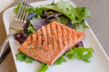 Salmon
