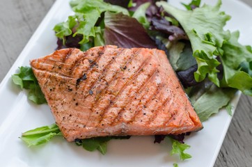 Salmon