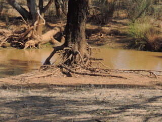 Outback River