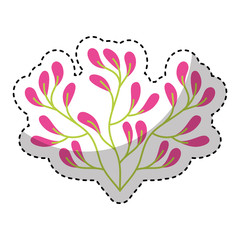 cute flower carden isolated icon vector illustration design