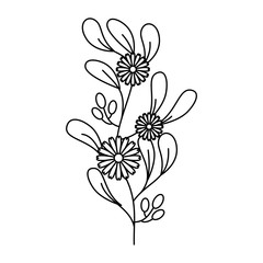 cute flower carden isolated icon vector illustration design