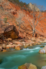 Virgin River in Zion National Park
