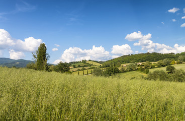 Obraz premium Beautiful landscape and hills in Tuscany, Italy