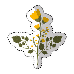 cute flower carden isolated icon vector illustration design
