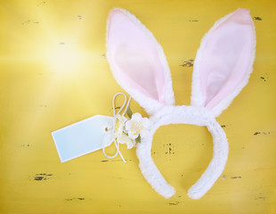 Happy Easter bunny ears.