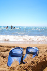 Blue gum slippers on the sandy beach