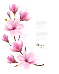 Fototapeta premium Nature background with blossom branch of pink magnolia. Vector