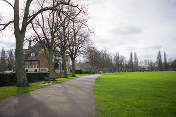 Park setting at springtime.